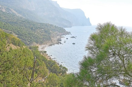 ������ ������ ��������. �� �������� ������������ ������� ����� 2014-�� �� ����������� �������� �������� �������� ���������� ����� ��������