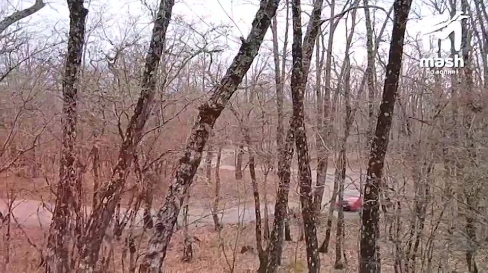 �������: ��������� ����� ������, �� �� ���� ��������?