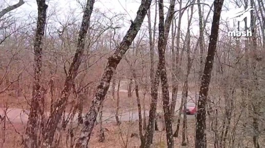 �������: ��������� ����� ������, �� �� ���� ��������?