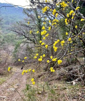 ���� ����: � ����� ����� �����. ��� ��������� ���������� ���� �� ������