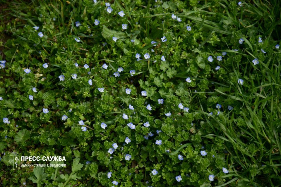 ������ ����, ���������!. ����������� ������� ���������� ������� �� +13��