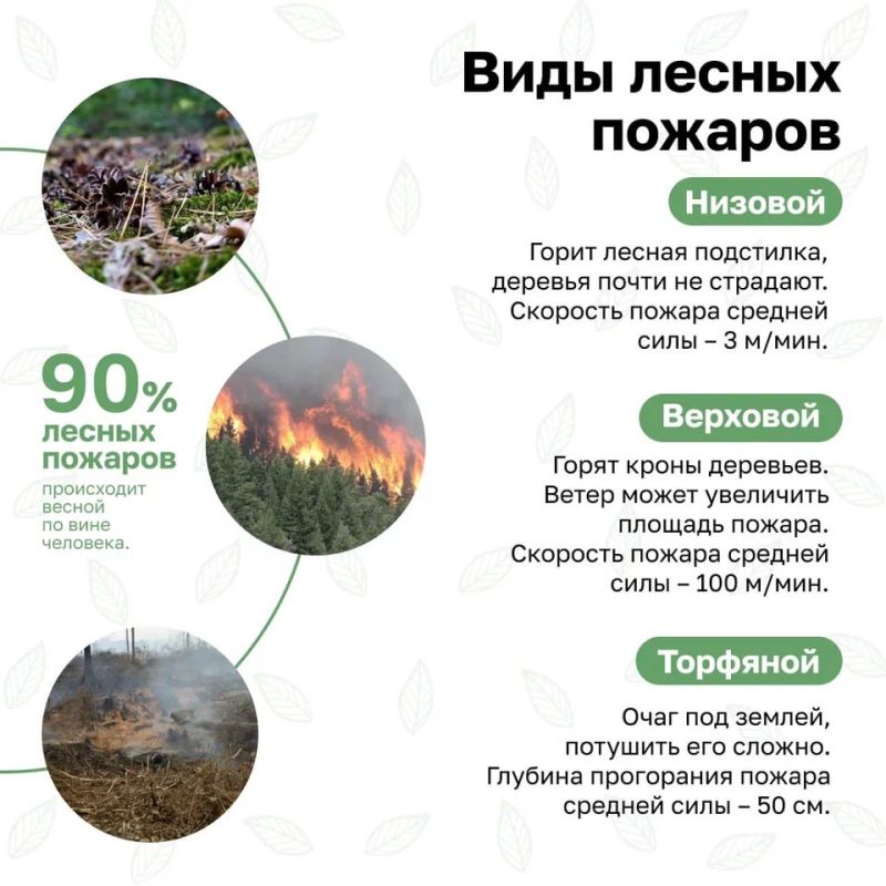 В России стартовала Федеральная информационная противопожарная кампания «Останови огонь!» В России стартовала Федеральная информационная противопожарная кампания «Останови огонь!»
