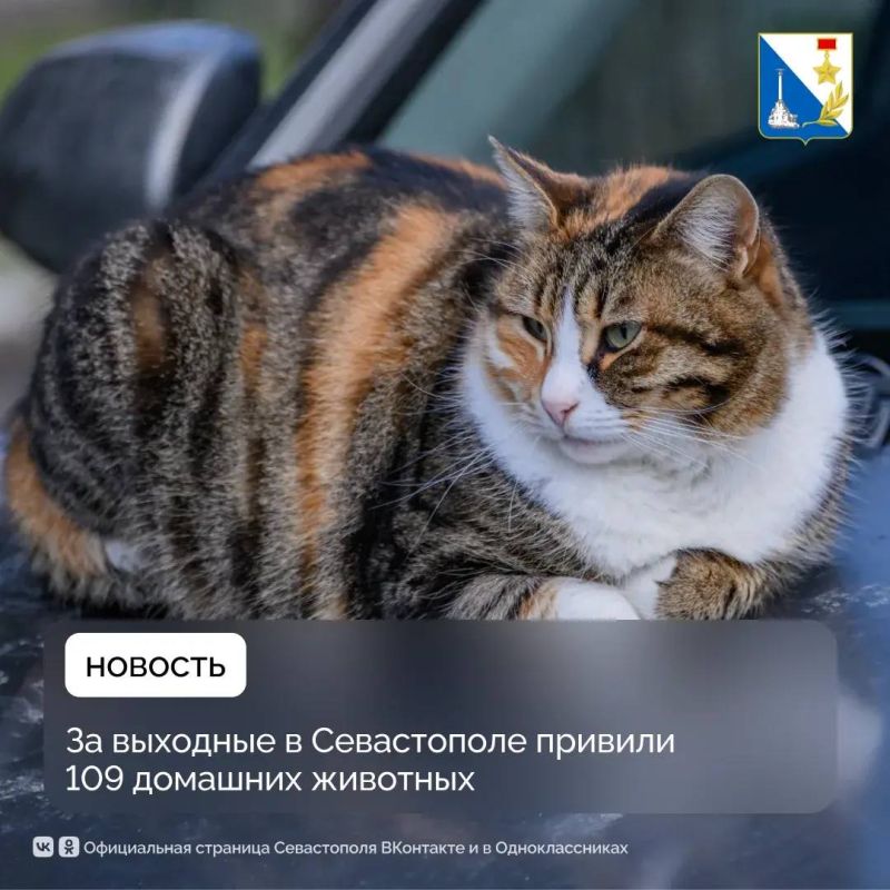 ����� 100 �������� ������� ���������� ����������� �� ��������