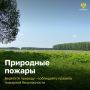В России стартовала Федеральная информационная противопожарная кампания «Останови огонь!»
