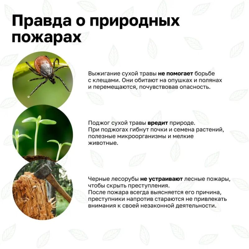 В России стартовала Федеральная информационная противопожарная кампания «Останови огонь!» В России стартовала Федеральная информационная противопожарная кампания «Останови огонь!»