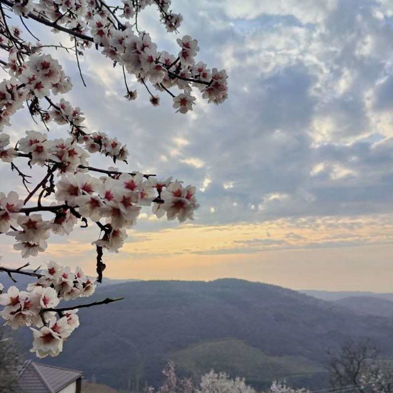 ������ ������: ������ ����, ���������!. ���������� ����� ������� ������, � �� ����� - ����� ������� ����� �����