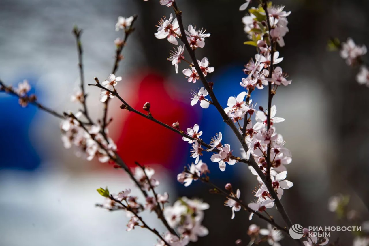 Прогноз погоды в Крыму на понедельник