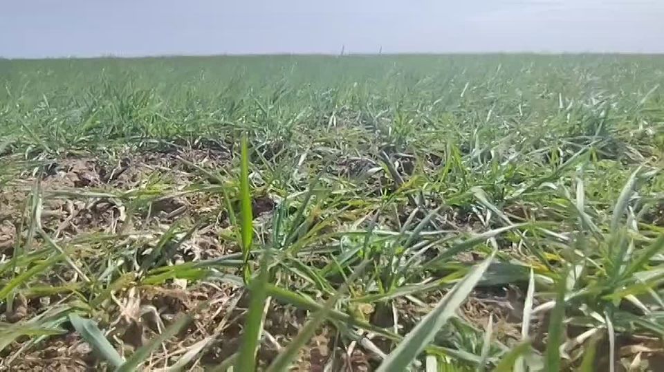 ��������� �����������: ������� �������!. ����� � ���������� ����� ����������� ������� � ������ ������ ��������������������� �����