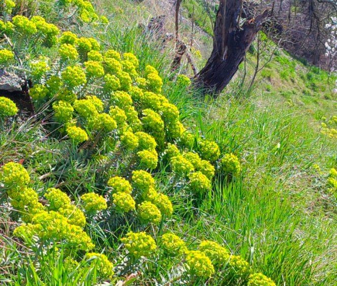 ����� ����� ����� ��������� � ����-����� ������� � ����� ����� ������� ������, ��������� � ������� ����� �������