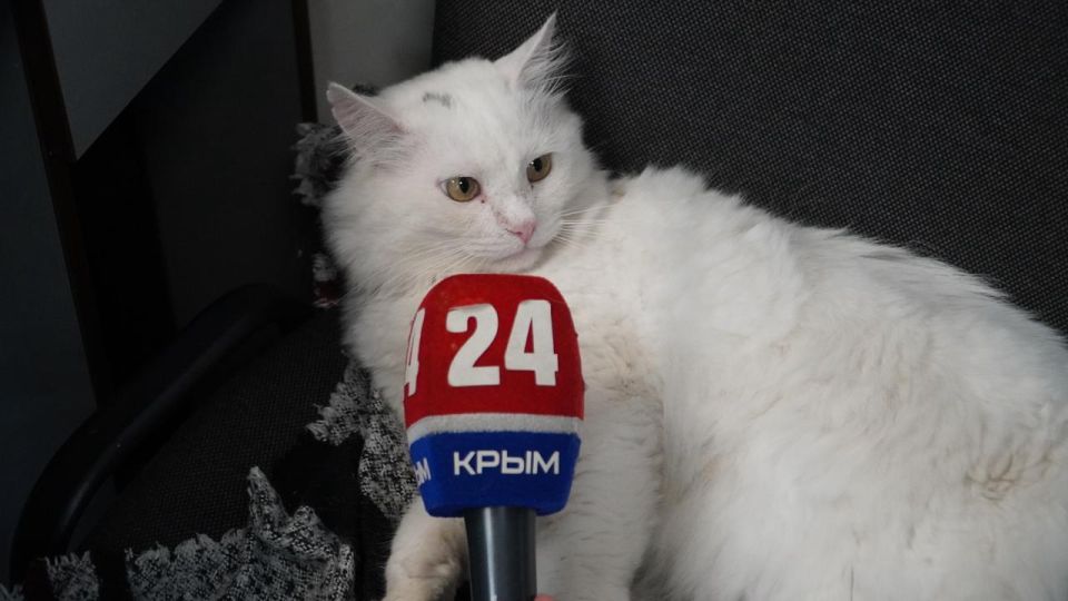 ���-�������: ������� ������������� ����� �����