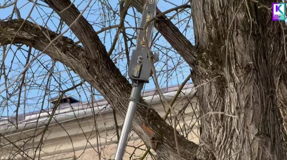 � ����� ������������ �������� ������ �� ����� �� �������� ������������ � ���������� ������� ��������� ����������