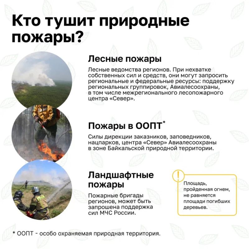 В России стартовала Федеральная информационная противопожарная кампания «Останови огонь!» В России стартовала Федеральная информационная противопожарная кампания «Останови огонь!»