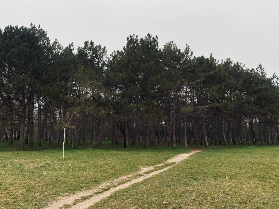 ������ � ����������� 24 �����