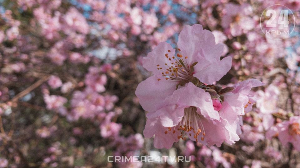 �������� ���� ��� ������� ������: ������� � ������� ������ � ����