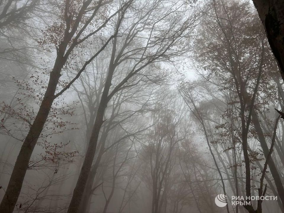 Прогноз погоды в Крыму на вторник