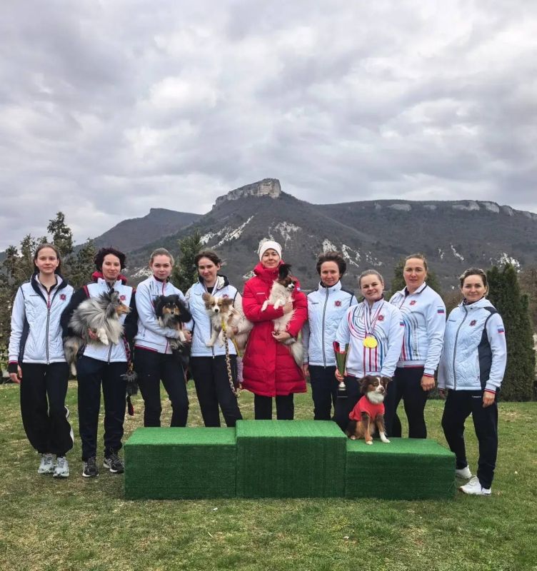 � ���������� ���� ������ ��������� � ���������� �� ��������������� ������