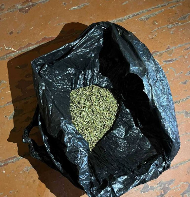 ������������ ��������������� ������ ���������� ��������������� ��������� �� ���������� ���� � ��������� ������������ �������� 51-������� �������� ������