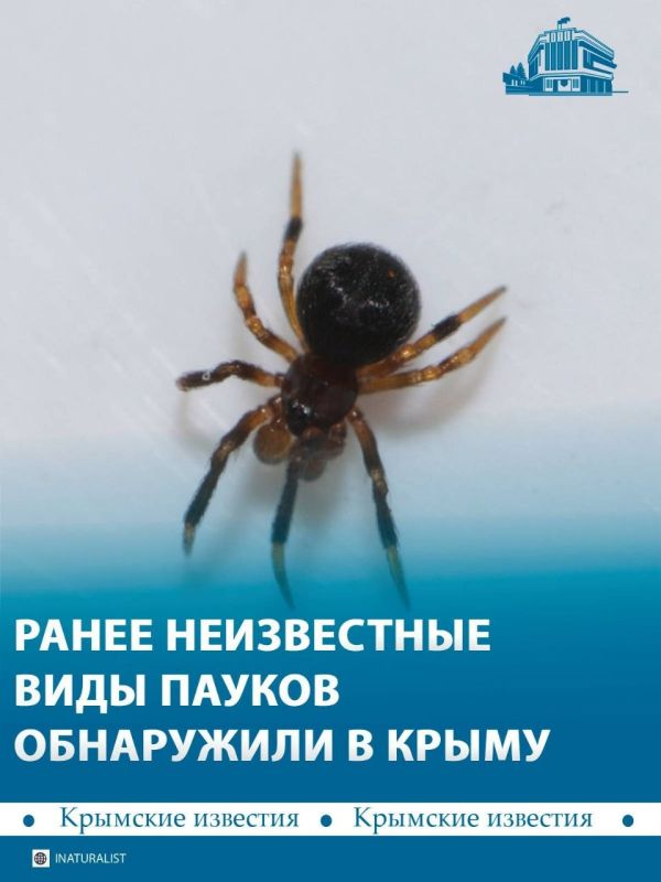 �� ���� �������� ������ ����� ���� ����� ����� ������