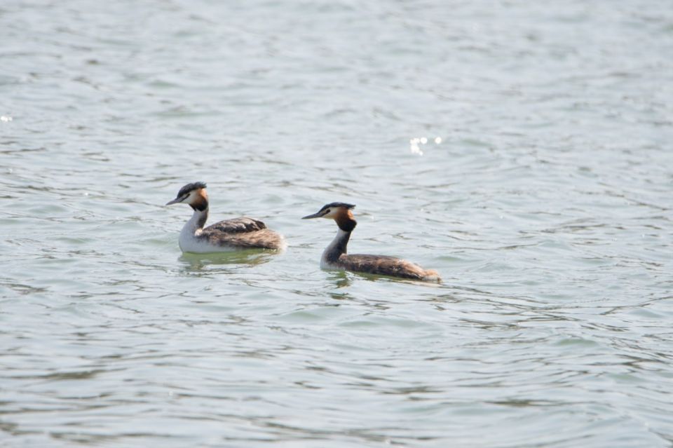 �� ������ ����� ����� ���������� � ����������� �������� ������� ������� (�����) � ������ ����� � ���������������� �������, ������������� ��������� � �������� ��������