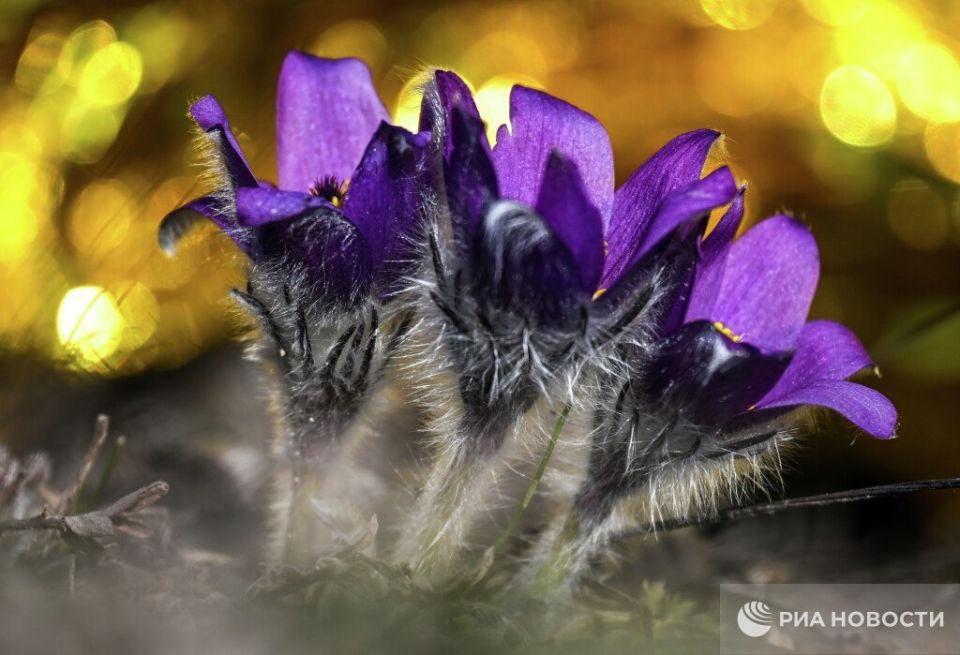 ������� ������ � ����� �� �����