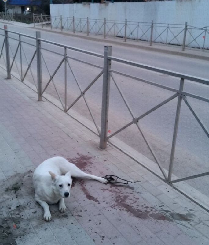 �� ����������� ����� ������������� ����������� ���������� ������ � ��������� � ���������� � ���������� ��������