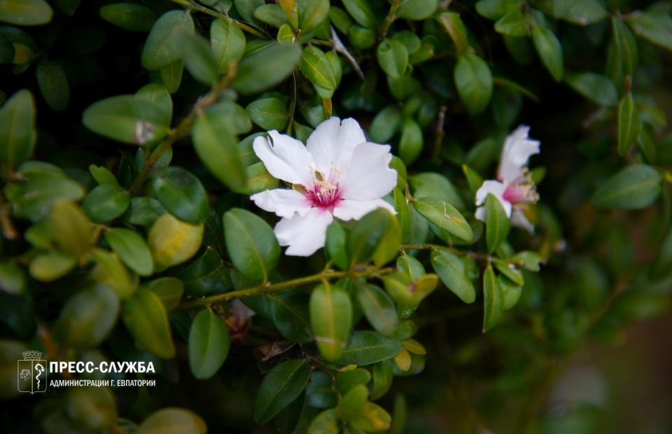 ������ ����, ���������!. ����������� ������� ���������� ������� �� +12��