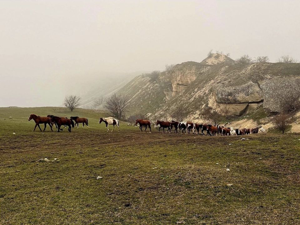 ������ ����������: ������� ����������, ������ ���� ���������� �� �����