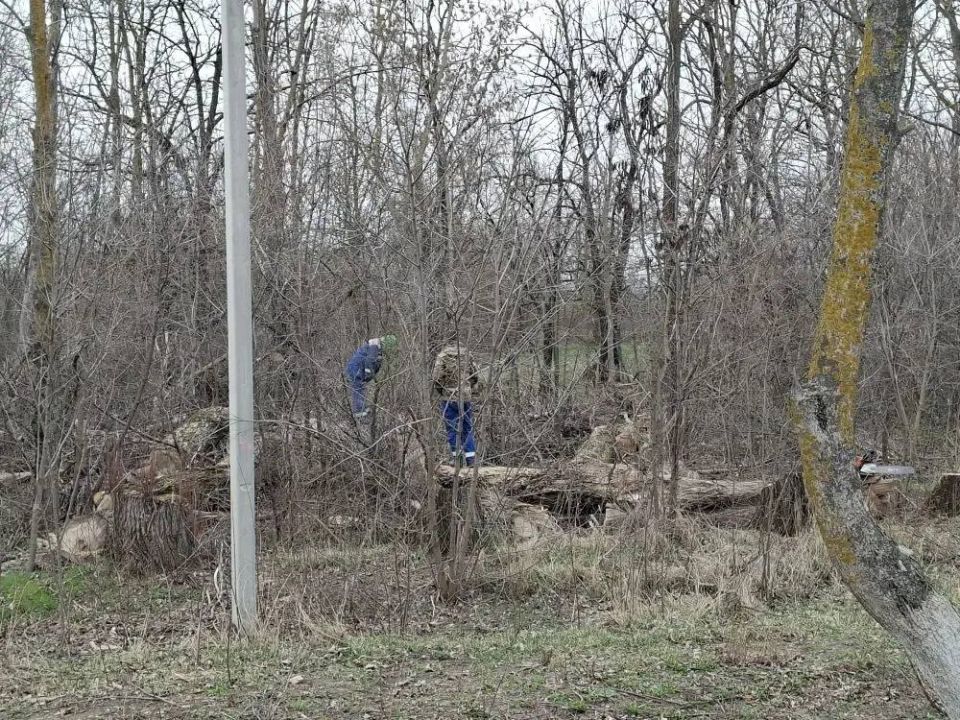 Антон Кравец: В Нижнегорском районе стартовали плановые работы по весеннему благоустройству территорий Антон Кравец: В Нижнегорском районе стартовали плановые работы по весеннему благоустройству территорий