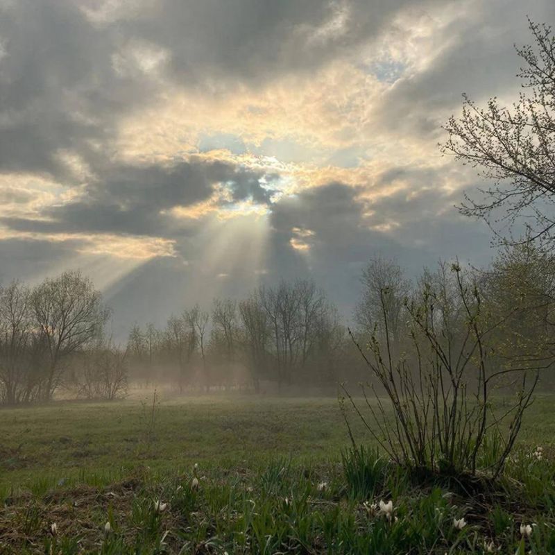 ����� ������ ��� ������� � ������ ����� 25 �����