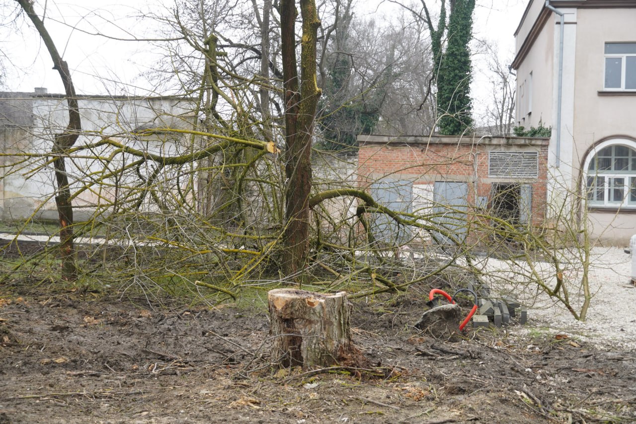 На общественной территории в районе остановки «Фабрика-кухня» продолжаются работы по благоустройству На общественной территории в районе остановки «Фабрика-кухня» продолжаются работы по благоустройству