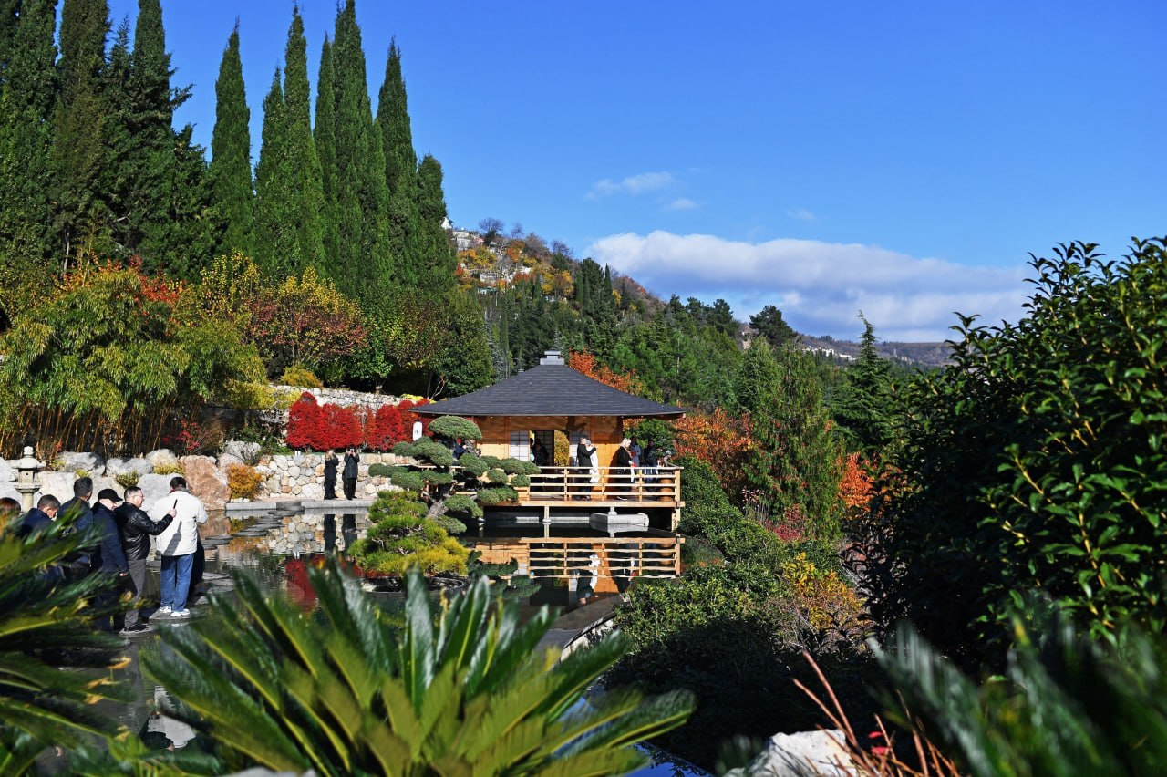 Топ старинных парков Крыма в санаториях и отелях: где живёт гармония природы и архитектуры Топ старинных парков Крыма в санаториях и отелях: где живёт гармония природы и архитектуры