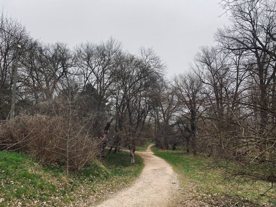 ������ � ����������� 26 �����