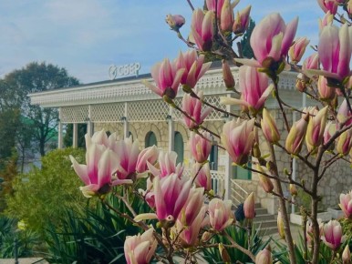 �������� �� ������ ������� ������������� ����