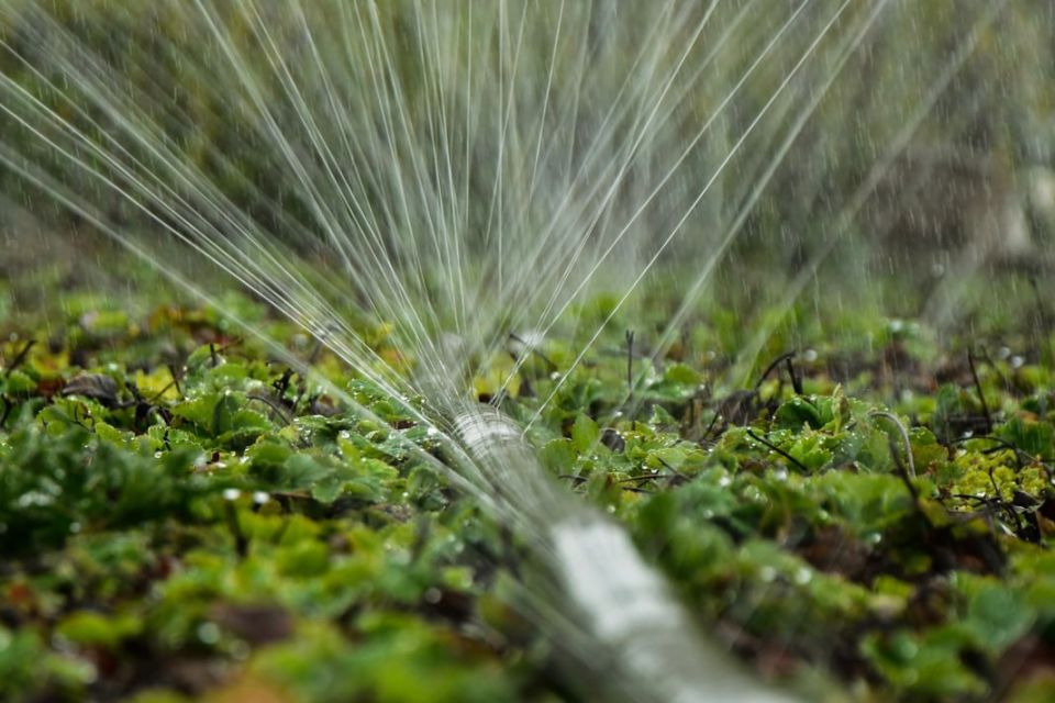 �� ��������� ������������ � ����� � 2026 ���� �������� 227,7 ��� ������