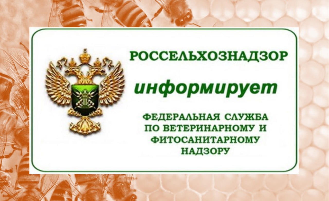 Согласно информации Федеральной службы по ветеринарному и фитосанитарному надзору, сорняки представляют собой серьезную проблему не только для сельского хозяйства, но и для других сфер деятельности, а в некоторых случаях —...