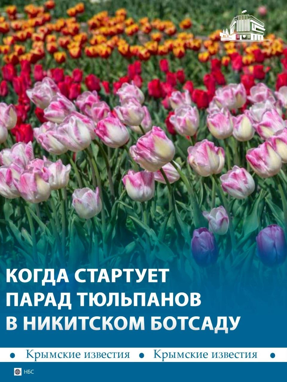 Парад тюльпанов откроется в Никитском ботаническом саду 27 марта