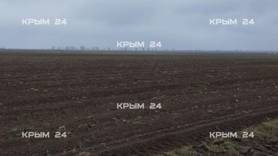 В Советском районе завершили подготовку к посадке картофеля В Советском районе завершили подготовку к посадке картофеля