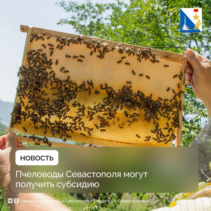 ����� ������������ ����������� � ����������� � �������������