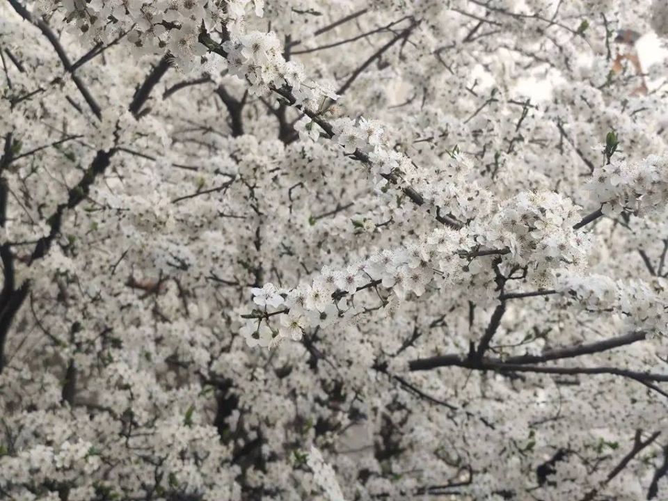 ����� � ��� ��������, ������� ������� ������� �� ��������