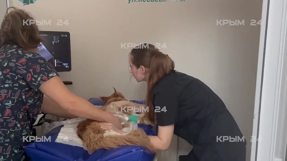 � ����������� ����� ������������� ��� ������ � ����������� ����