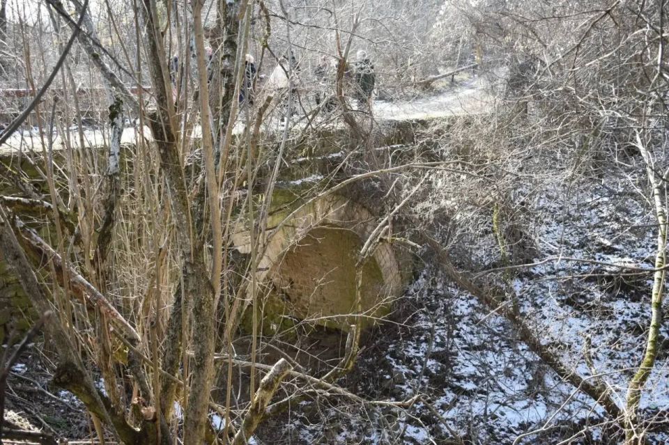 ��������� ���������� �������� ����� � ������ ���������������� �����������