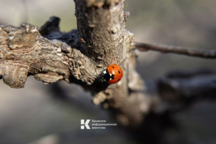 ����� ����� ����� �������� �����, �� ������ ������� ���-������ � ������������� ���������� ������