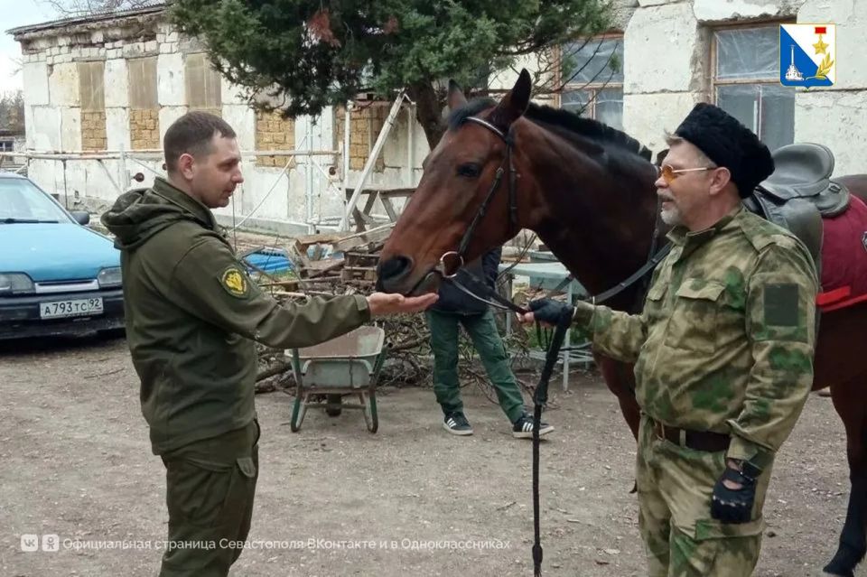 ������ � �������� ������������ ��� ������ ��������������� ����� �� �������