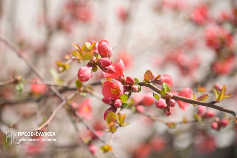 ������ ����, ���������!. ����������� ������� ���������� ������� �� +15��