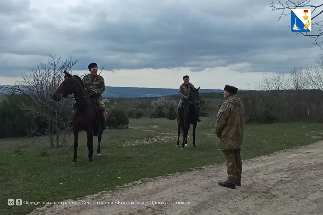 Казаки и лесничие объединились для защиты севастопольских лесов от пожаров Казаки и лесничие объединились для защиты севастопольских лесов от пожаров