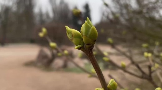 ����� � �����������!