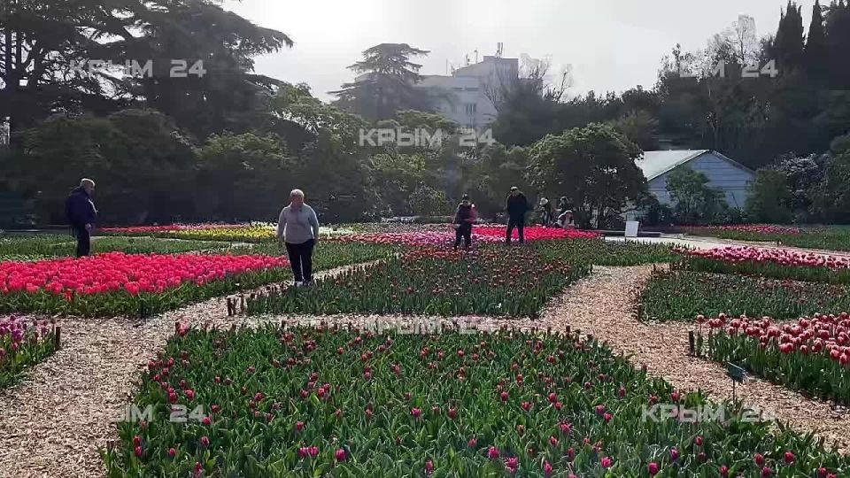 � ��������� ������� �������� 110 ����� ��������� ��� ��������� ��������