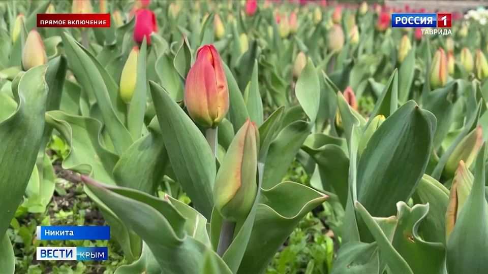 � ��������� ������� ������� �������� ����� ���������