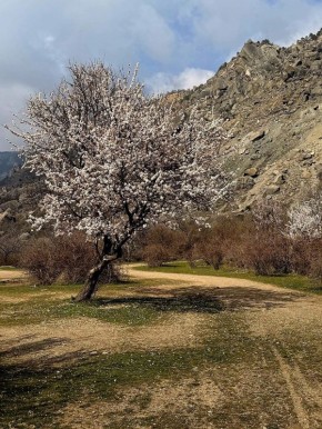 Сергей Колясников: Крым. В дороге. Миндаль и горы