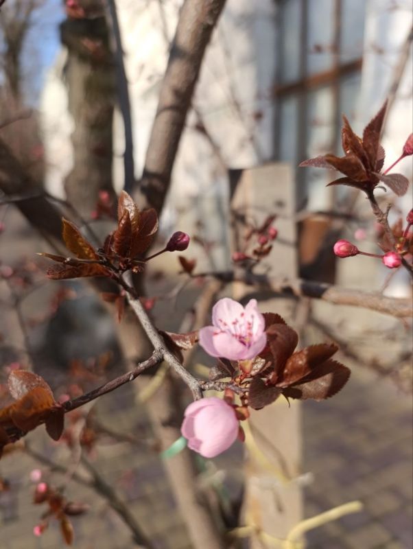 �������� �����